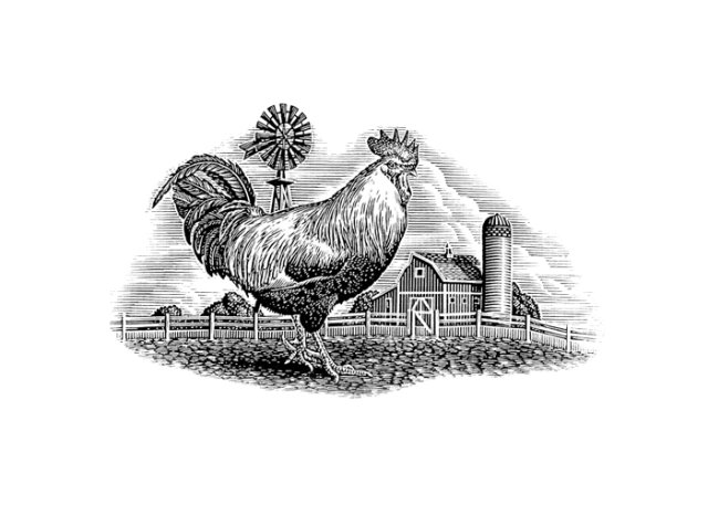 rooster woodcut